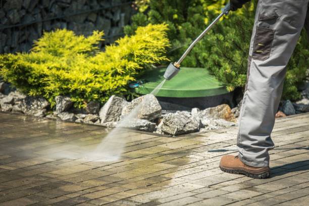 Best Animal Enclosure Cleaning  in North Tustin, CA