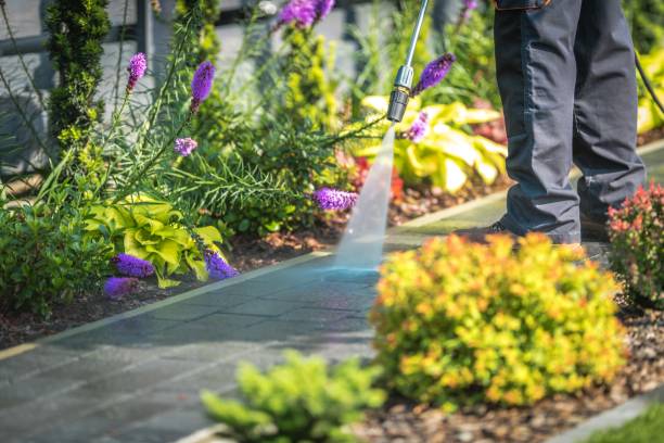  North Tustin, CA Pressure Washing Pros